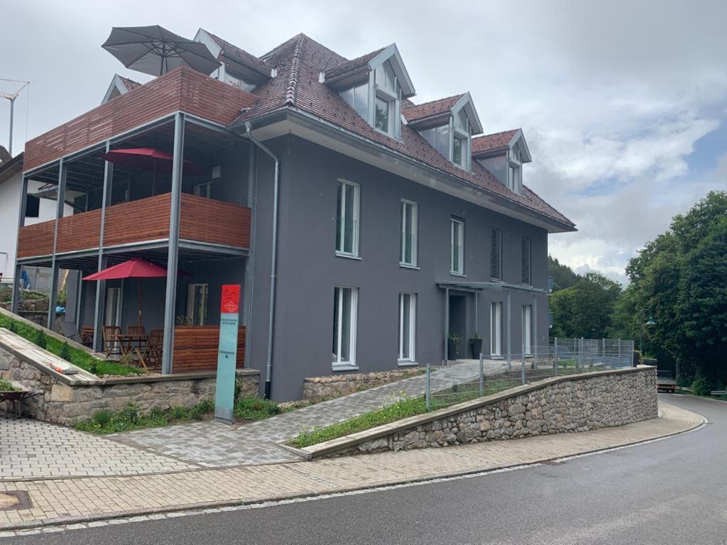 Dom-I-Ziel Apartments St. Blasien Exterior photo